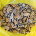 kerang hitam daging kerang dalam tin